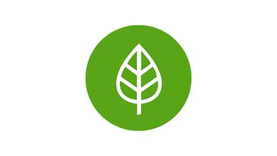 Environment Icon - leaf